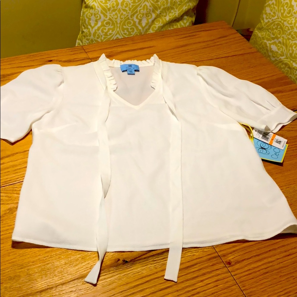 Beautiful Vintage Inspired Dress Blouse